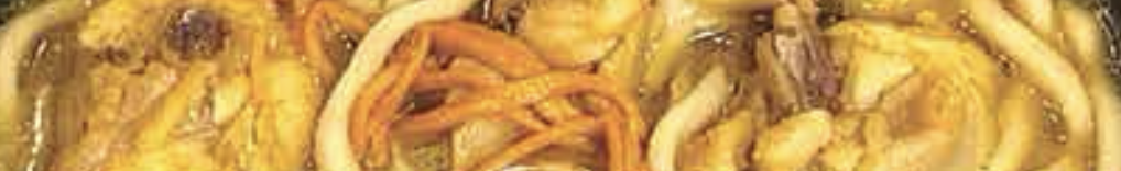 Noodles category